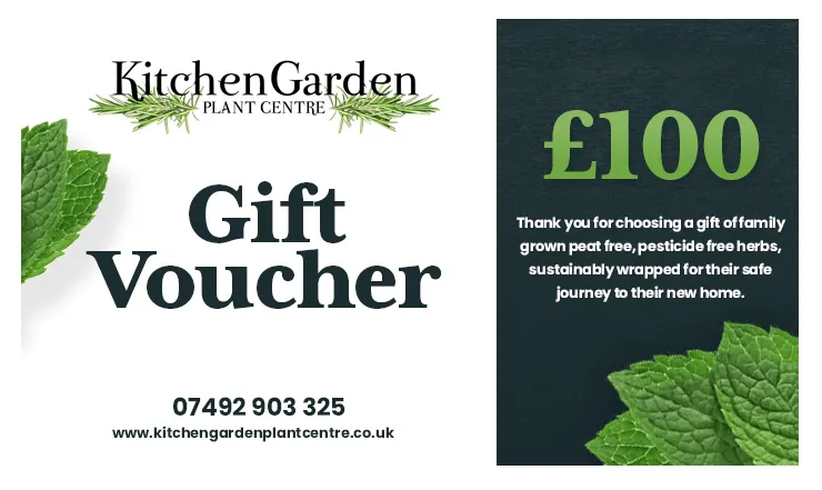 £100 Gift Voucher